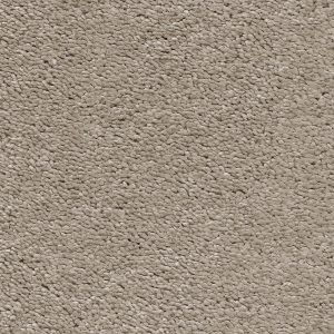 Invictus Magnificus Carpet - Image 11