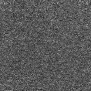 Invictus Magnificus Carpet - Image 16