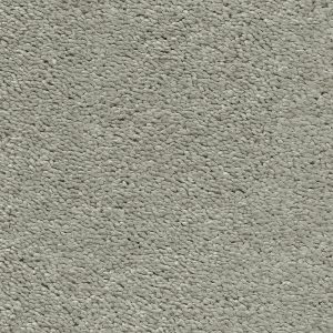 Invictus Magnificus Carpet - Image 14