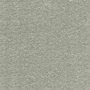 iSense Surprise Carpet - Image 2
