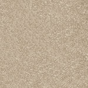 Invictus Centurion Carpet - Image 7