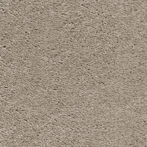 Invictus Magnificus Carpet - Image 8