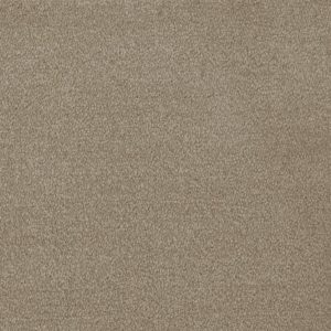 Invictus Septimus Carpet - Image 6