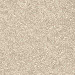 Invictus Centurion Carpet - Image 5