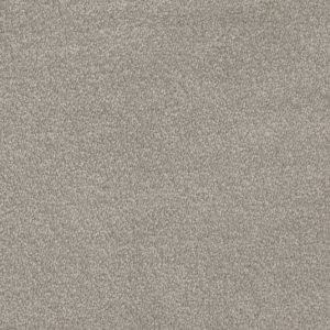 Invictus Septimus Carpet - Image 16