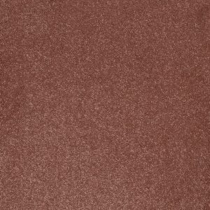 Associated Weavers Taurus Carpet - Image 5