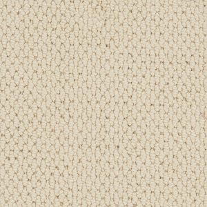 Associated Weavers Tiber Carpet - Image 5