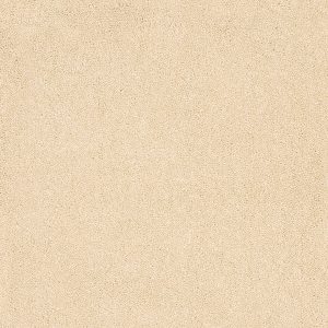 Associated Weavers Taurus Carpet - Image 3
