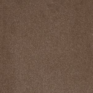 Associated Weavers Taurus Carpet - Image 10