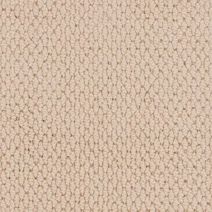 Associated Weavers Tiber Carpet - Image 4