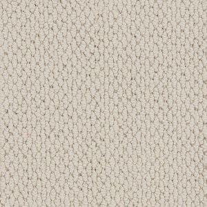 Associated Weavers Tiber Carpet - Image 6