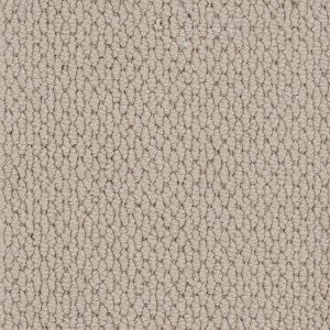 Associated Weavers Tiber Carpet - Image 3