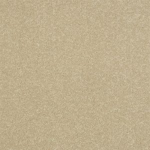 Abingdon Stainfree Ultra Carpet - Image 4