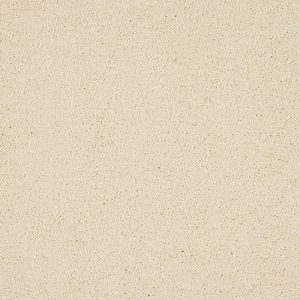 Abingdon Velvet Dreams Carpet - Image 4