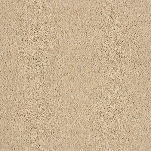 Abingdon Hidden Depths Carpet - Image 2