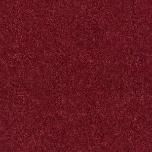Abingdon Royal Charter Deluxe Carpet - Image 5