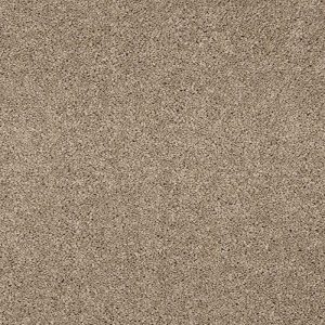 Abingdon Velvet Dreams Carpet - Image 16