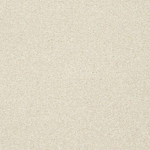 Abingdon Stainfree Twist Carpet - Image 10