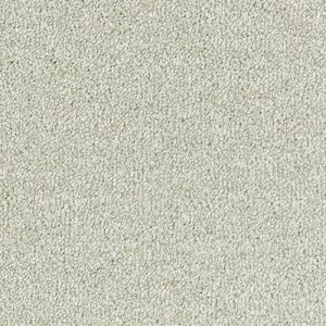 Abingdon Stainfree Sophisticat Carpet - Image 5