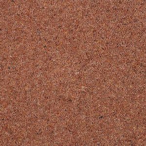 Abingdon Charter Berber Deluxe Carpet - Image 19