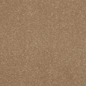 Abingdon Stainfree Ultra Carpet - Image 2