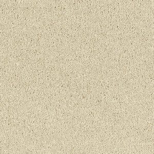 Abingdon Stainfree Sophisticat Carpet - Image 4