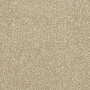 Abingdon Stainfree Ultra Carpet - Image 25