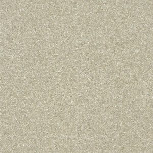 Abingdon Stainfree Twist Carpet - Image 9
