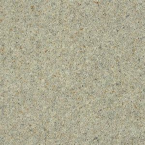 Abingdon Charter Berber Deluxe Carpet - Image 2