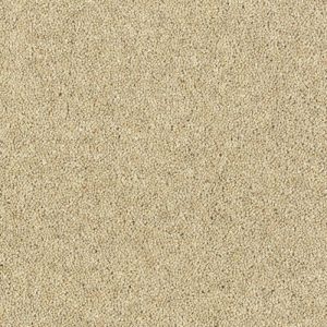 Abingdon Royal Charter Deluxe Carpet - Image 3