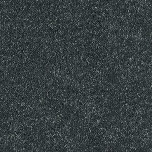 Abingdon Stainfree Sophisticat Carpet - Image 3