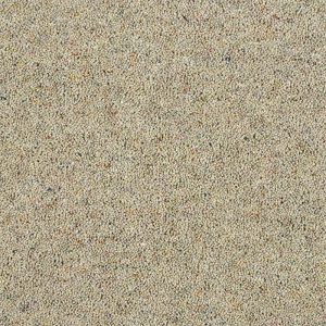 Abingdon Charter Berber Deluxe Carpet - Image 3