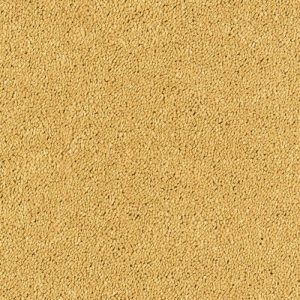 Abingdon Stainfree Sophisticat Carpet - Image 2