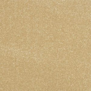 Abingdon Stainfree Ultra Carpet - Image 20