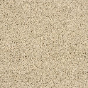 Abingdon Hidden Depths Carpet - Image 6