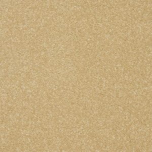 Abingdon Stainfree Twist Carpet - Image 5
