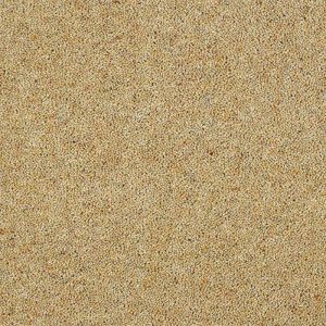 Abingdon Charter Berber Deluxe Carpet - Image 4