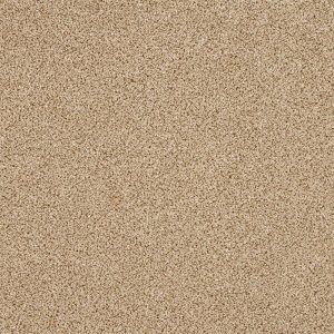 Abingdon Knightsbridge Berber Carpet - Image 4