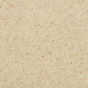 Abingdon Charter Berber Deluxe Carpet - Image 5