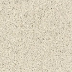 Abingdon Royal Charter Deluxe Carpet - Image 22