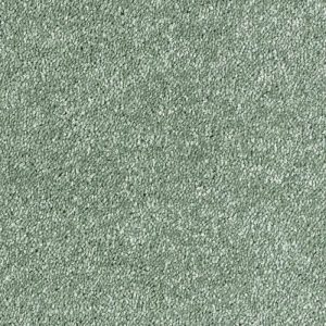 Abingdon Stainfree Sophisticat Carpet - Image 17