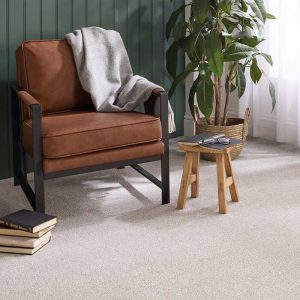 Knightsbridge Berber carpet by Abingdon, durable textured style, available at Carpet Outlet.