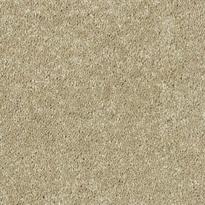 Abingdon Stainfree Sophisticat Carpet - Image 16