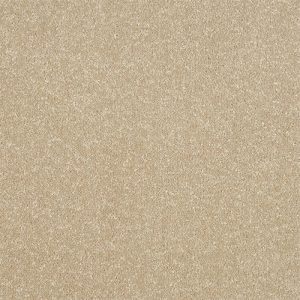 Abingdon Stainfree Ultra Carpet - Image 17