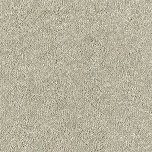 Abingdon Stainfree Sophisticat Carpet - Image 15