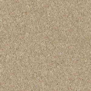 Abingdon Royal Charter Deluxe Carpet - Image 20
