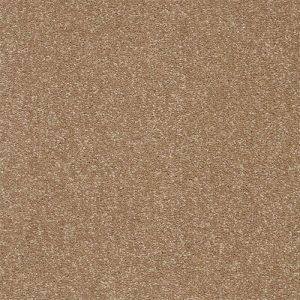 Abingdon Stainfree Twist Carpet - Image 3