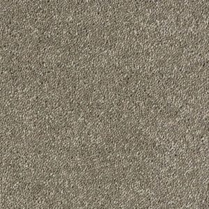 Abingdon Stainfree Sophisticat Carpet - Image 14