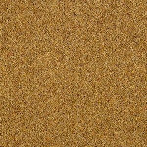 Abingdon Charter Berber Deluxe Carpet - Image 7