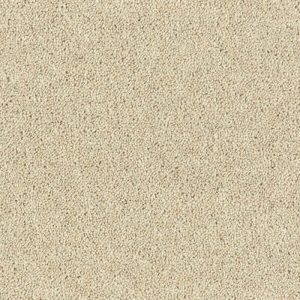 Abingdon Royal Charter Deluxe Carpet - Image 19